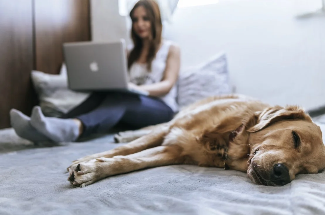 multifunctional smart beds